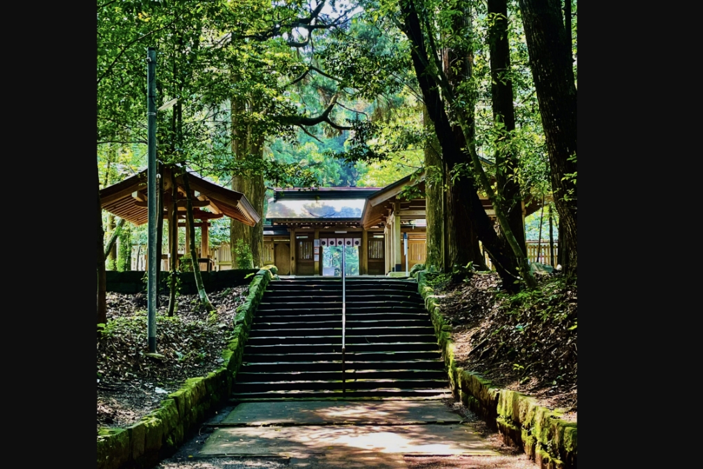 Blog